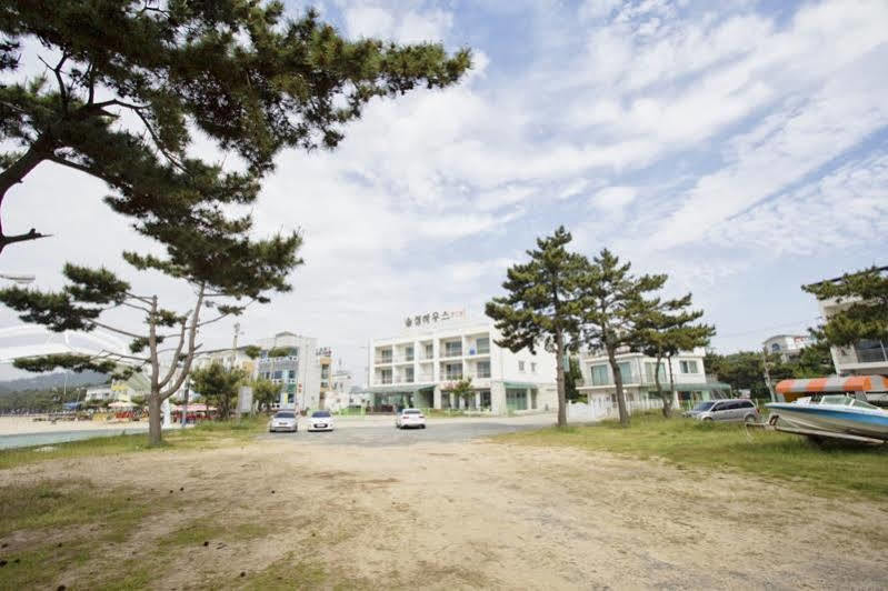 Yeonpo Beach Solsum House 泰安 外观 照片